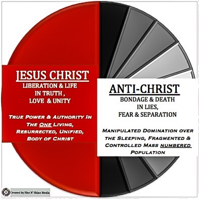 65B7A833-3D66-4467-9859-DA90F29D35E8